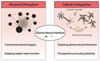 Advances in computational and translational approaches for malignant glioma